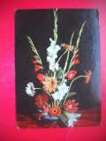 HOPCT 25104 FLORI -FELICITARE ANIVERSARA -CP VECHE -IP--INTREG POSTAL - ROMANIA - CIRCULATA