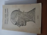 Anatomia Omului-Capul Și Gătul