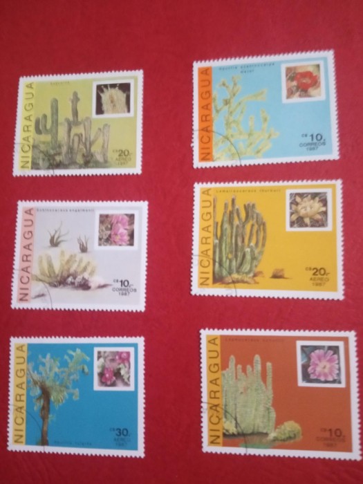 NICARAGUA, CACTUȘI - 6 VALORI ȘTAMPILATE