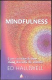 MINDFULNESS. CUM SA TRAIESTI BINE DAND DOVADA DE ATENTIE-ED HALLIWELL-347977