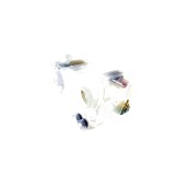 Decalcifiant Original Electrolux 1119191011 pentru Masina de Spalat Vase (Compatibil si cu 1119191029, 1174849008)