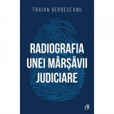Radiografia unei marsavii judiciare, Traian Berbeceanu