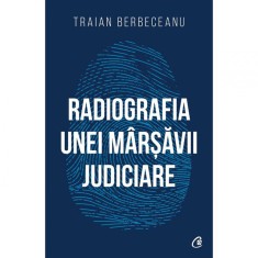 Radiografia unei marsavii judiciare, Traian Berbeceanu