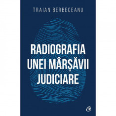 Radiografia unei marsavii judiciare, Traian Berbeceanu