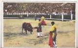 bnk cp Corrida de toros - Muerte del toro - necirculata
