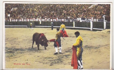 bnk cp Corrida de toros - Muerte del toro - necirculata foto