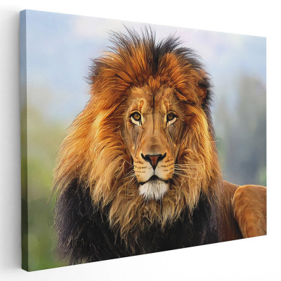 Tablou leu african Tablou canvas pe panza CU RAMA 30x40 cm foto