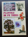 Plantele de pe Terra. Mică enciclopedie școlară cu 240 de imagini - Victor Cireașă, Elena Cireașă