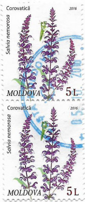 Moldova (6) - Flora - Flori salbatice, 2016 - 5 L, obliterata foto