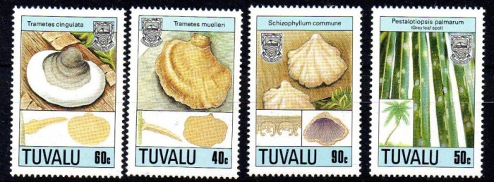 TUVALU 1989-Ciuperci-Serie completa de 4 timbre MNH