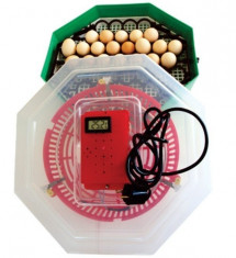 Incubator electric cu dispozitiv de intoarcere si termostat 41 oua gaina - 74... foto