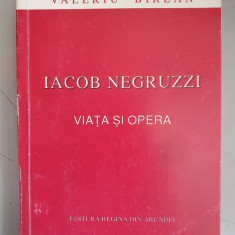 Iacob Negruzzi - viata si opera - Valeriu Birlan