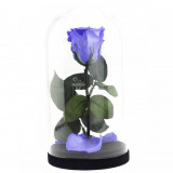Cumpara ieftin Trandafir Criogenat violet xl &Oslash;6,5cm in cupola 10x20cm