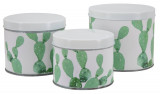 Set 3 recipiente cu capac Cactus, Mauro Ferretti, fier, alb/verde
