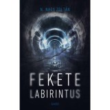 Fekete labirintus - N. Nagy Zolt&aacute;n