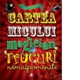 Cartea micului magician. Trucuri nemaipomenite - Joe Fullman