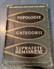 Topologie Categorii Suprafete Riemanniene - Andreian Cazacu Deleanu, Ed. Academiei 1966, Geografie