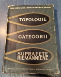 Topologie categorii suprafete riemanniene Andreian Cazacu Deleanu