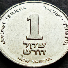 Moneda 1 New Sheqel - ISRAEL, anul 1995 * cod 57 B