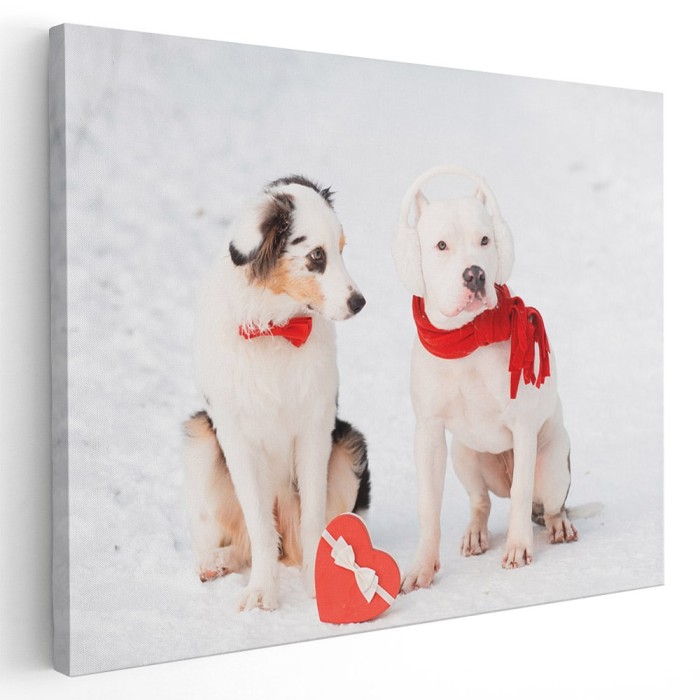 Tablou doi caini cu papion si fular rosu de Ziua Indragostitilor Tablou canvas pe panza CU RAMA 80x120 cm