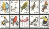 Antilele Olandeze MNH 1997 - pasari