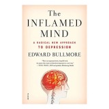 The Inflamed Mind