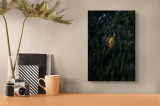 Tablou Canvas Copacul singuratic &icirc;n ad&acirc;ncul pădurii, 26 x 39 cm, CMCLASS