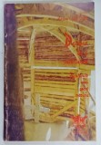 DATORIA DE A MARTURISI , INCHISORILE UNUI PREOT ORTODOX de Pr. ZOSIM OANCEA , 1995