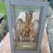 Taxidermie,Porumbelul cu partile componente numerotate.Material didactic.