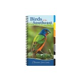 Birds of the Southeast