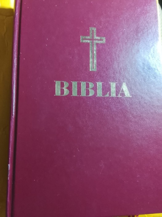 Biblia, sau Sf&acirc;nta scriptură daniel 2018