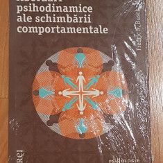 Abordari psihodinamice ale schimbarii comportamentale de Fredric Busch