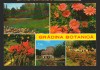 CPIB 18794 CARTE POSTALA - BUCURESTI. GRADINA BOTANICA, MOZAIC, NECIRCULATA, Fotografie