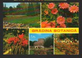 CPIB 18794 CARTE POSTALA - BUCURESTI. GRADINA BOTANICA, MOZAIC, NECIRCULATA