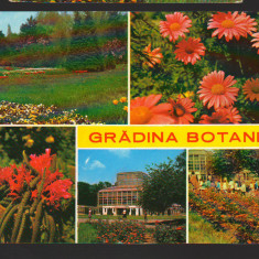 CPIB 18794 CARTE POSTALA - BUCURESTI. GRADINA BOTANICA, MOZAIC, NECIRCULATA