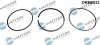 Set Segmenti Piston 244093 DRM0333
