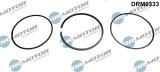 Set Segmenti Piston 244093 DRM0333
