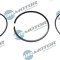 Set Segmenti Piston 244093 DRM0333