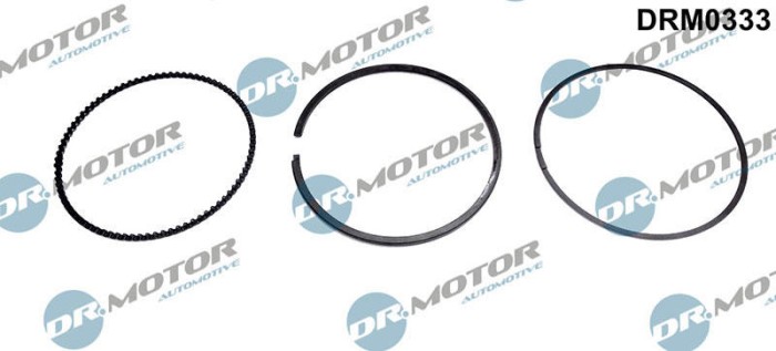 Set Segmenti Piston 244093 DRM0333