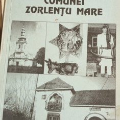 MONOGRAFIA COMUNEI ZORLENTU MARE