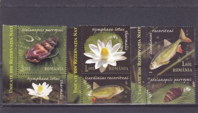 ROMANIA 2008 - REZERVATIA PARAUL PETEA - CU TABS - LP 1822 foto