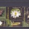 ROMANIA 2008 - REZERVATIA PARAUL PETEA - CU TABS - LP 1822