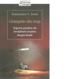 Ghimpele din trup. Aspecte practice ale invataturii crestine despre boala - Konstantin V. Zorin