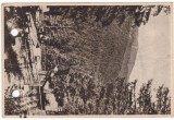 AMS - ILUSTRATA 1283, PALTINIS - VEDERE, ANUL 1955, cu perforari