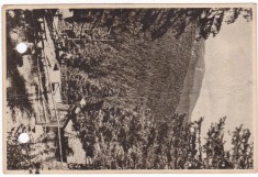 AMS - ILUSTRATA 1283, PALTINIS - VEDERE, ANUL 1955, cu perforari