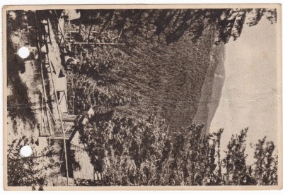 AMS - ILUSTRATA 1283, PALTINIS - VEDERE, ANUL 1955, cu perforari foto