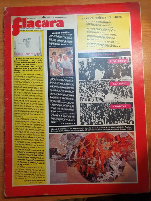 flacara 22 noiembrie 1975-cenaclul flacara, art. rosiorii de vede si galati