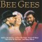 CD Bee Gees &ndash; Bee Gees (VG+)