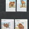 Mongolia 2022 - #1111 Camile IMPERF 4v MNH