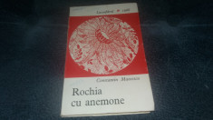 CONSTANTIN MATEESCU - ROCHIA CU ANEMONE foto